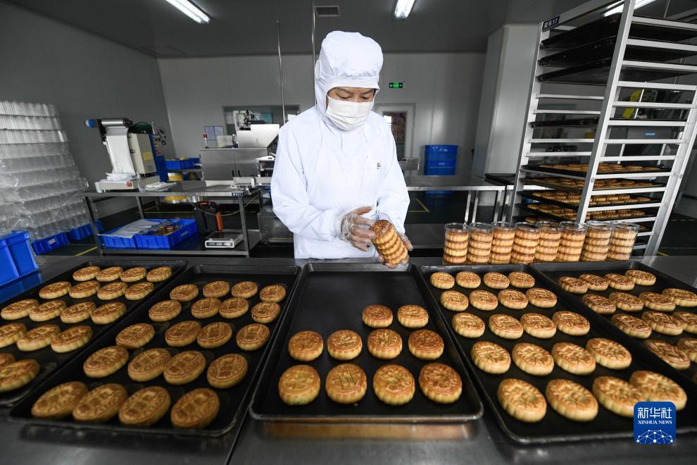 金沙网络平台网站