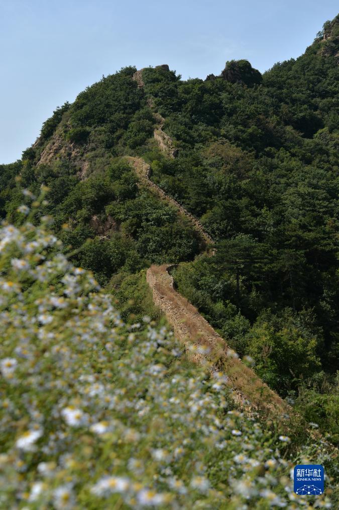 ibb账号怎样才可注册